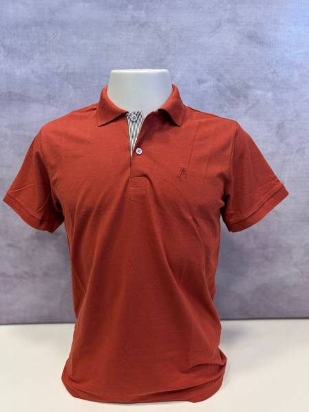 CAMISA GOLA POLO
