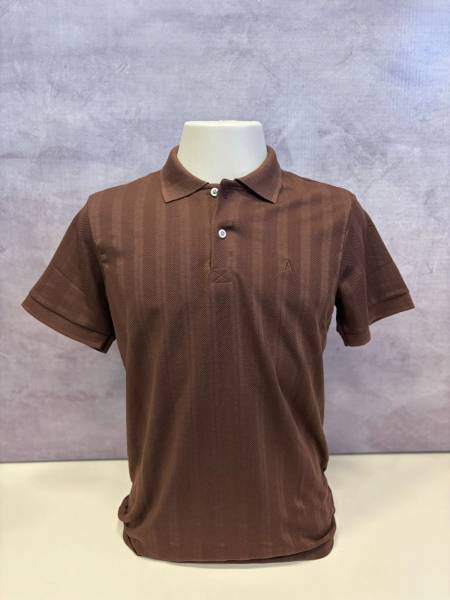 CAMISA GOLA POLO